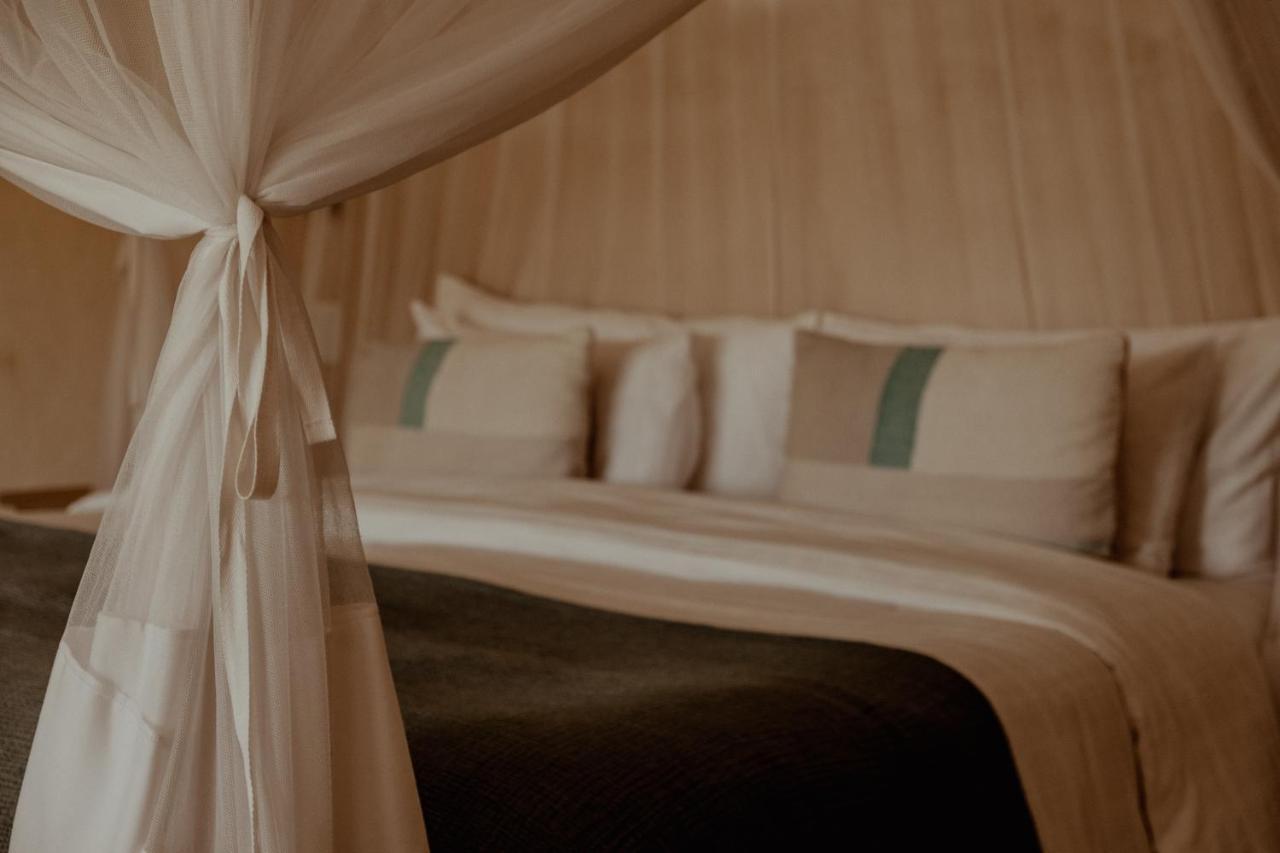 The Bean Tree Hotel McGregor Luaran gambar